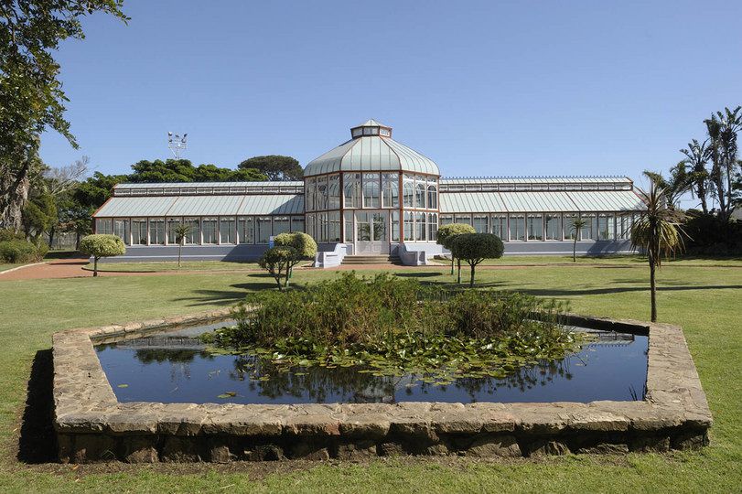 Restoration of Pearson Conservatory project 210 1100  dsc8570 jpg